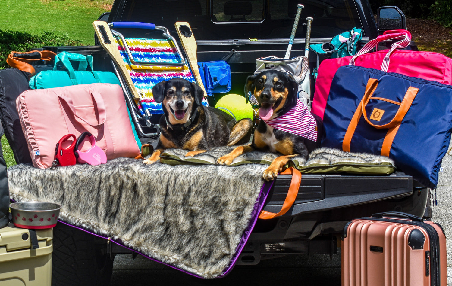 Blu & Roux Travel Pet Beds