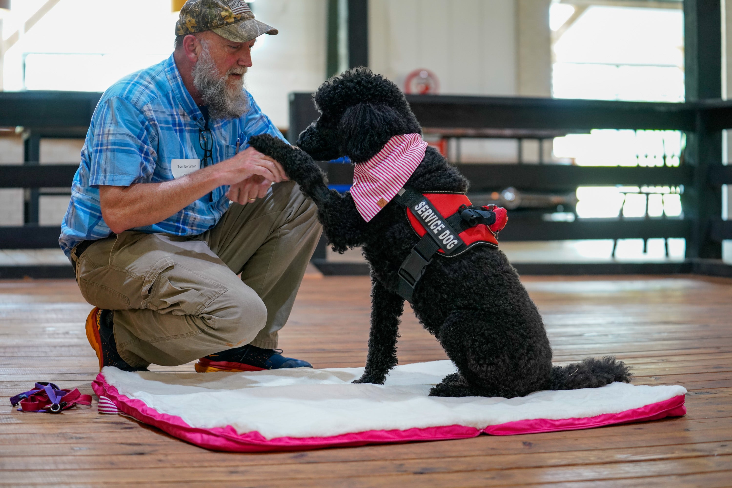 Dog Beds for Service Dogs