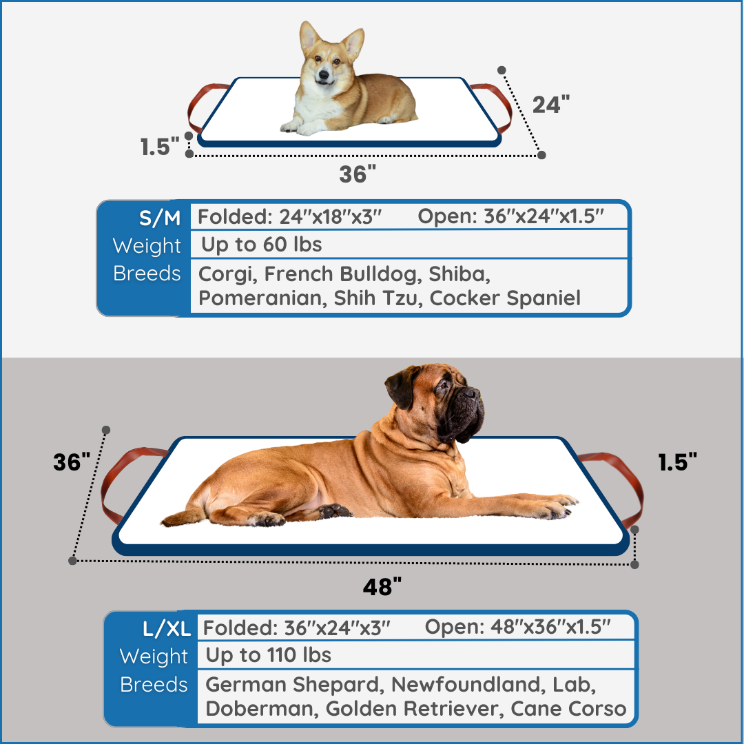 Blu Travel Bed
