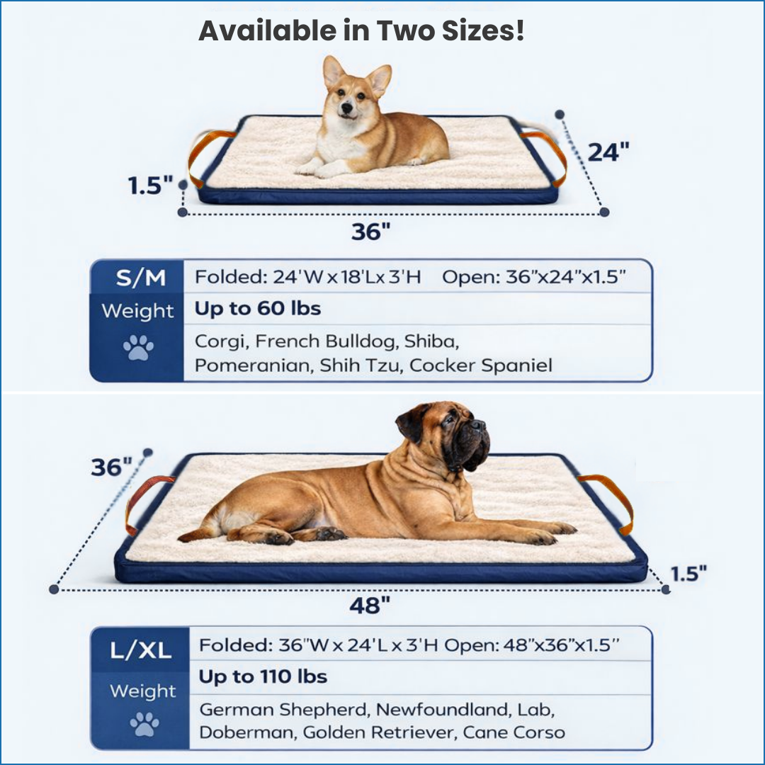 Blu Travel Bed